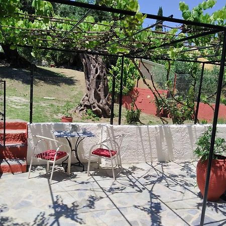 Rio Grande Rooms Benícesz Kültér fotó